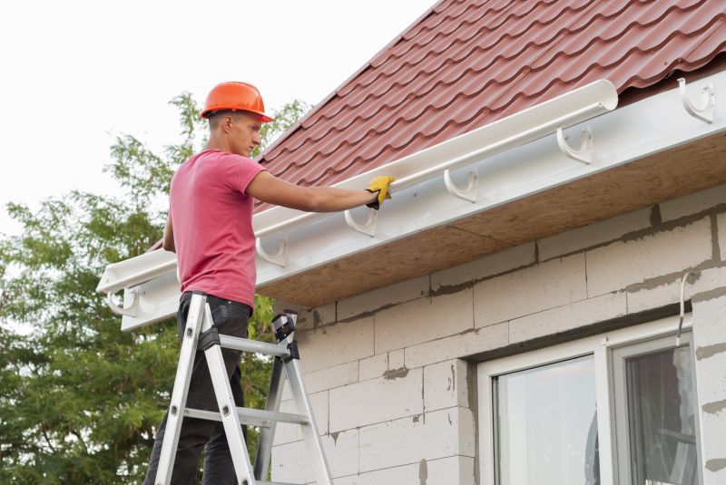 Gutter and Roof System Care